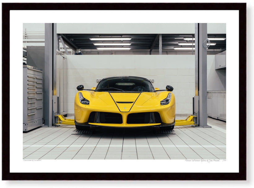 Explore the João Meneses Collection