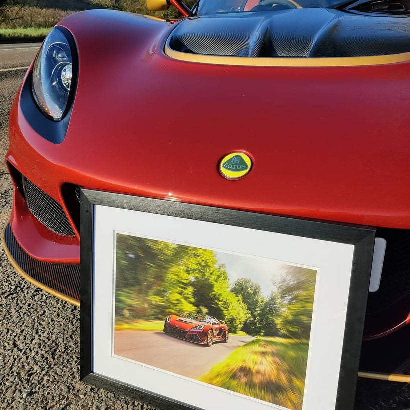 Framed Lotus Wall Art Prints